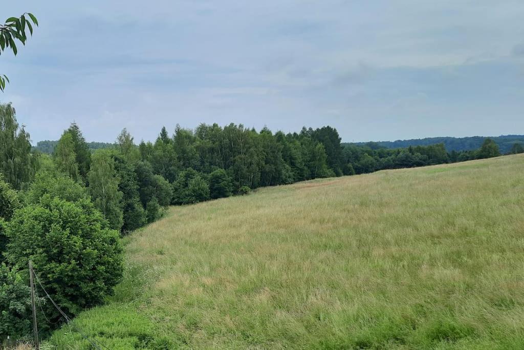 Ojcowski Zakatek-Uroczy Domek Do Wynajecia Wola Kalinowska Exterior foto